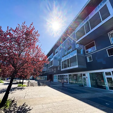 Volver - Exclusive Design