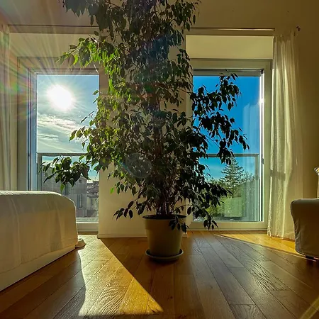 Volver - Exclusive Design Parma