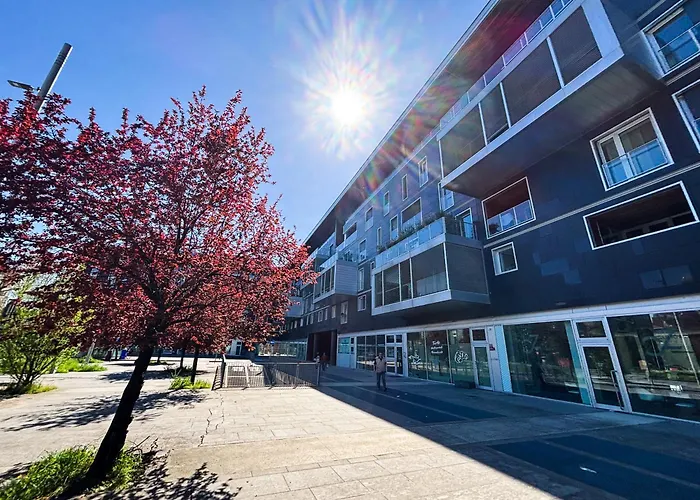 Volver - Exclusive Design