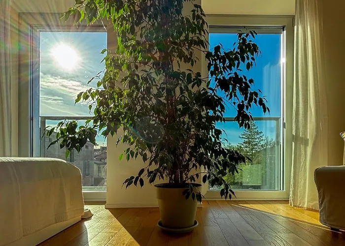 Volver - Exclusive Design Parma